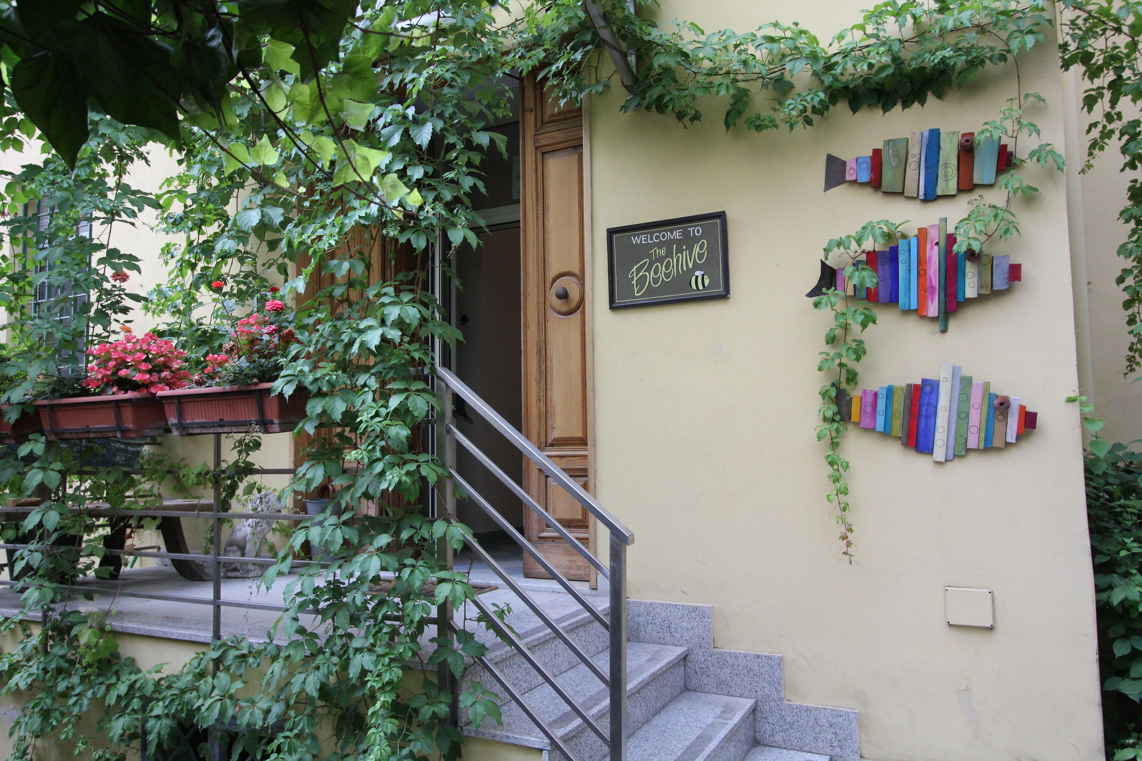 The Beehive Hostel — Foto 1